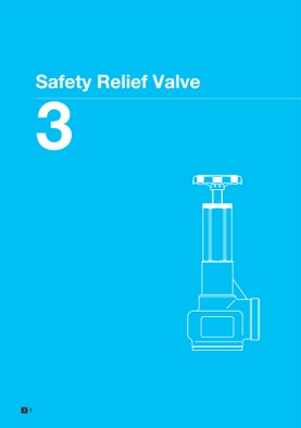 Safety & Relief Valve