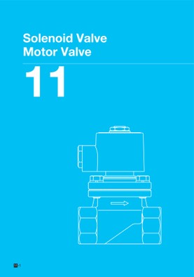 Solenoid Valve / Motor Valve