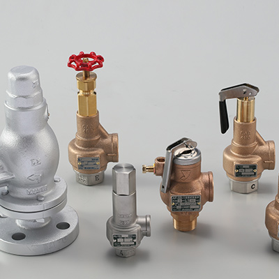 Safety and Relief Valve