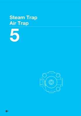 Steam Trap / Air Trap