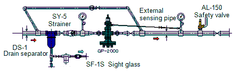 External Detection Type